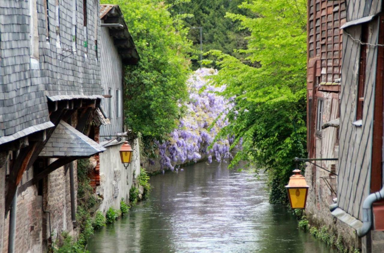 Le Clos Des Hortensias Toutainville Екстер'єр фото